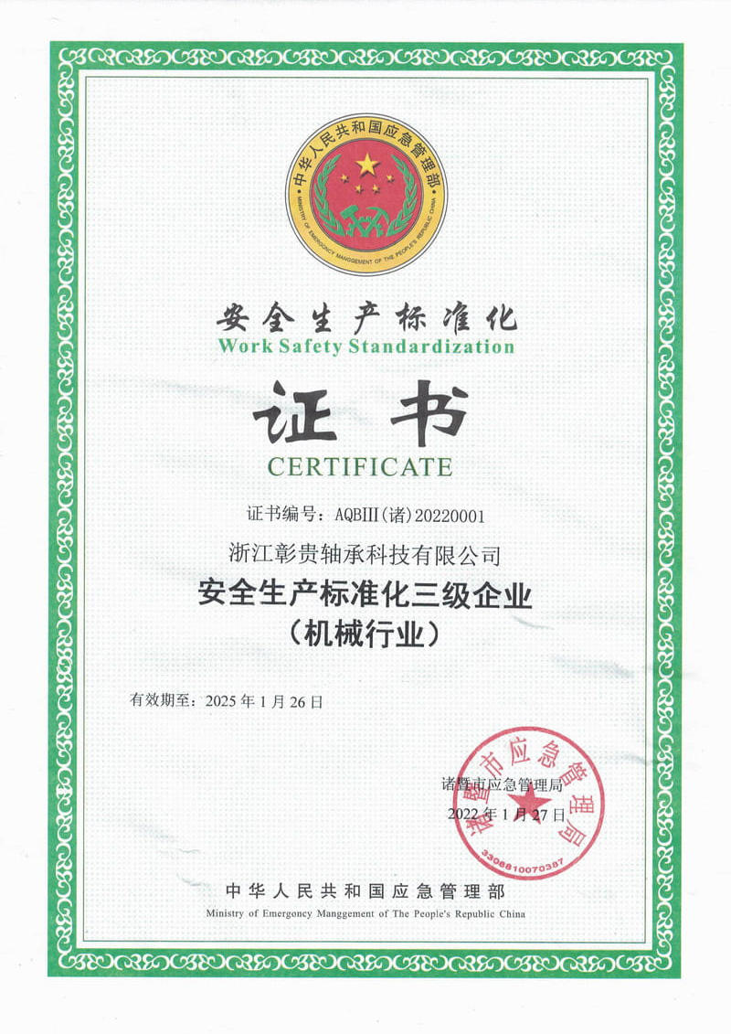 Certificado de produção de segurança de padronização